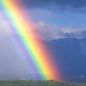 Meet your Posher, Pam